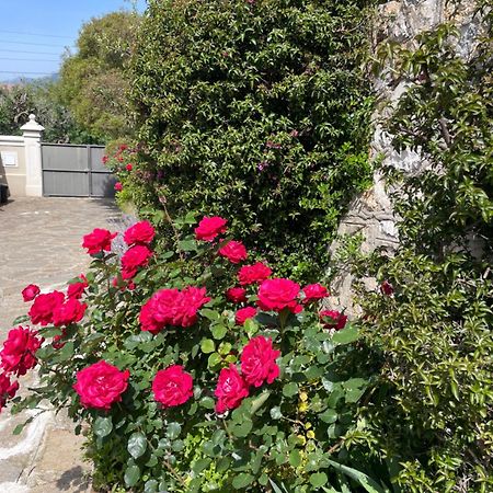Apartamento Les Trefles Hyères Exterior foto
