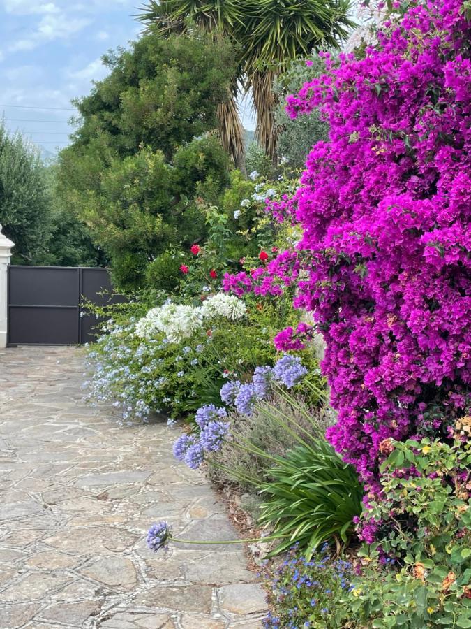 Apartamento Les Trefles Hyères Exterior foto