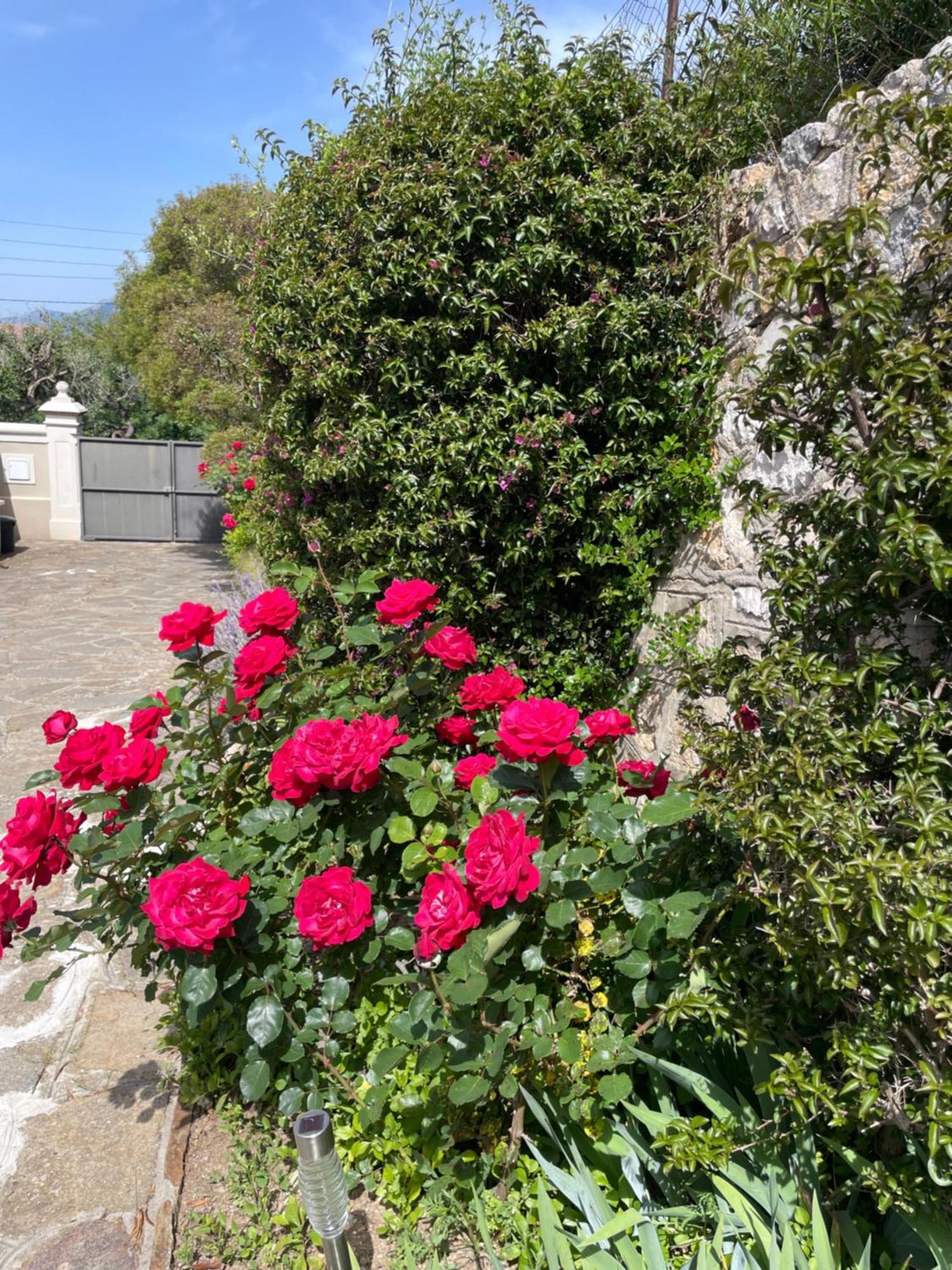 Apartamento Les Trefles Hyères Exterior foto